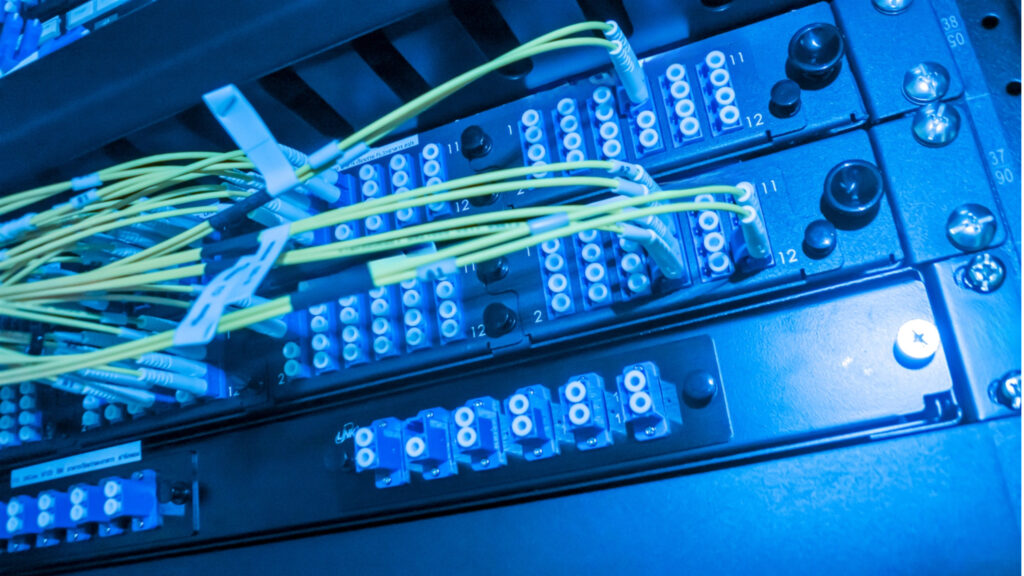 Close-up of network cables and ports connected to a patch panel in a server room, illuminated by blue lighting.